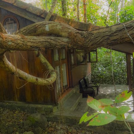 Forest Floor Lodge Cat Tien Exterior foto