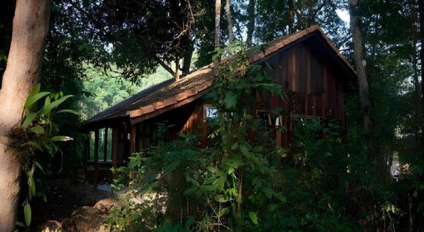 Forest Floor Lodge Cat Tien Exterior foto