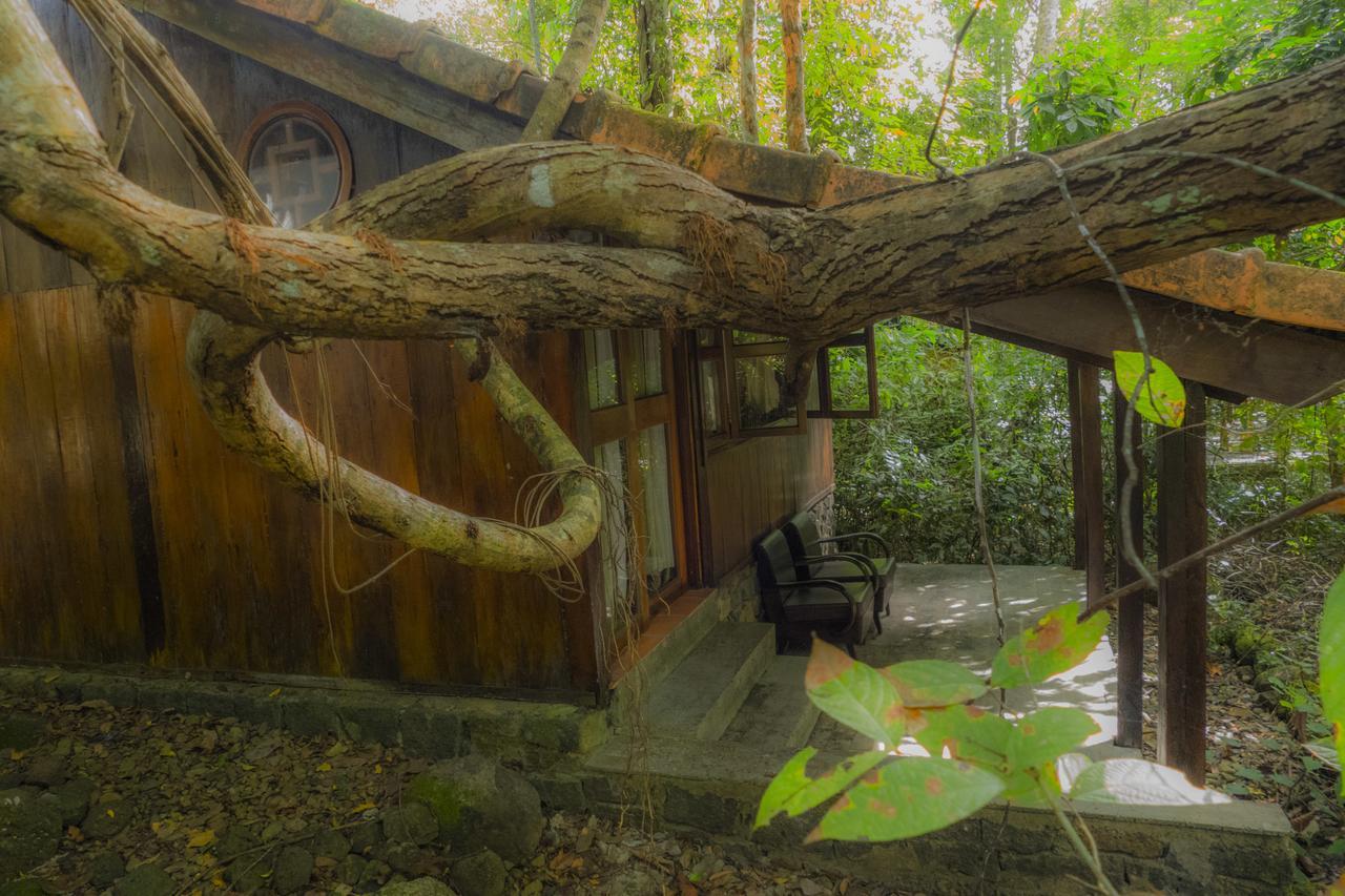 Forest Floor Lodge Cat Tien Exterior foto